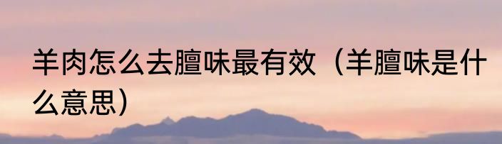羊肉怎么去膻味最有效（羊膻味是什么意思）