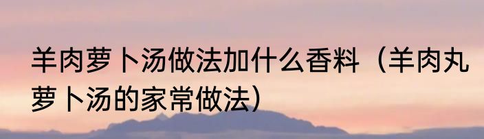 羊肉萝卜汤做法加什么香料（羊肉丸萝卜汤的家常做法）