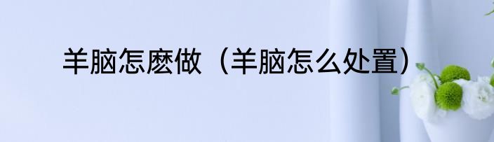 羊脑怎麽做（羊脑怎么处置）