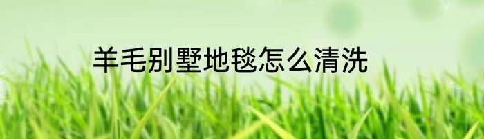 羊毛别墅地毯怎么清洗