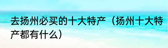 去扬州必买的十大特产（扬州十大特产都有什么）