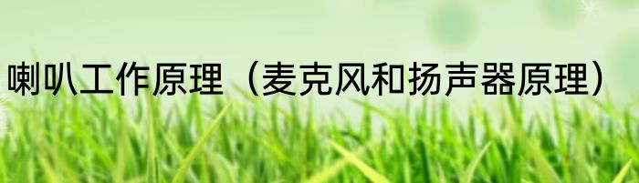 喇叭工作原理（麦克风和扬声器原理）