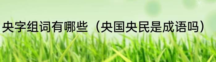 央字组词有哪些（央国央民是成语吗）