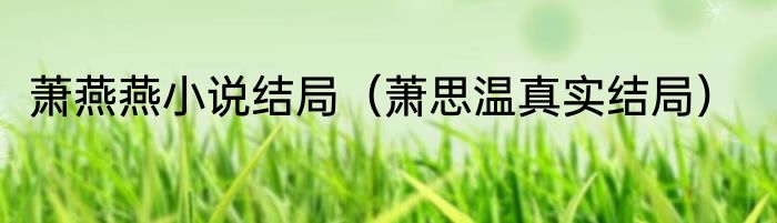 萧燕燕小说结局（萧思温真实结局）