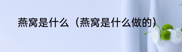 燕窝是什么（燕窝是什么做的）