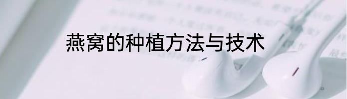 燕窝的种植方法与技术