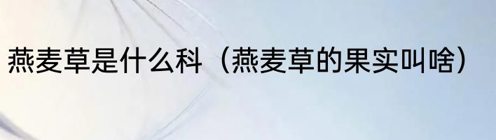 燕麦草是什么科（燕麦草的果实叫啥）