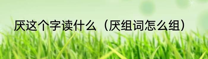 厌这个字读什么（厌组词怎么组）