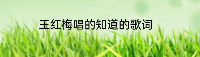 王红梅唱的知道的歌词