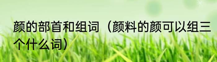 颜的部首和组词（颜料的颜可以组三个什么词）