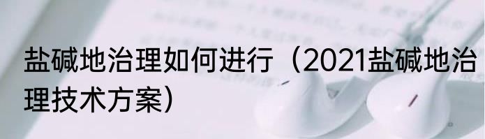 盐碱地治理如何进行（2021盐碱地治理技术方案）