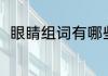 眼睛组词有哪些（眼的组词有什么）