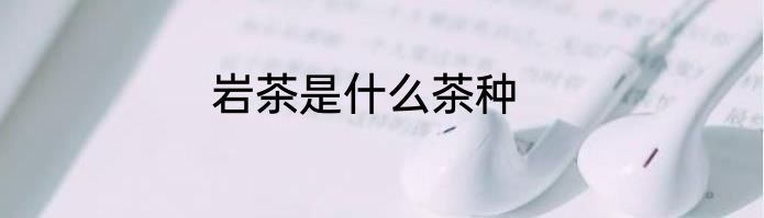 岩茶是什么茶种