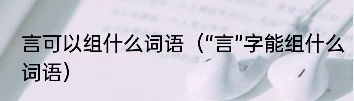 言可以组什么词语（“言”字能组什么词语）
