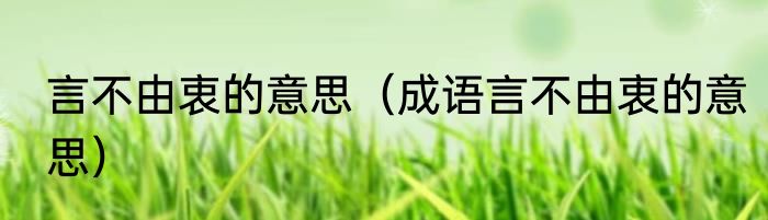 言不由衷的意思（成语言不由衷的意思）