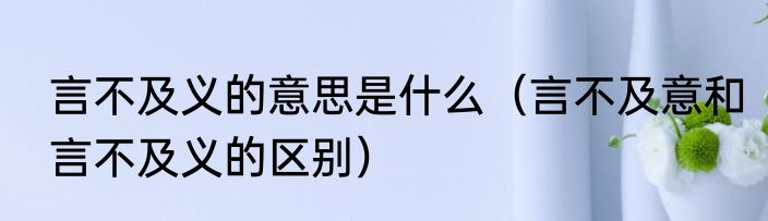 言不及义的意思是什么（言不及意和言不及义的区别）