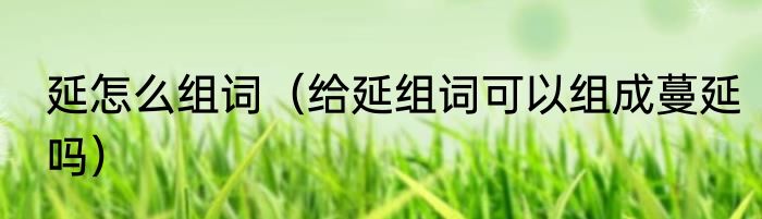 延怎么组词（给延组词可以组成蔓延吗）