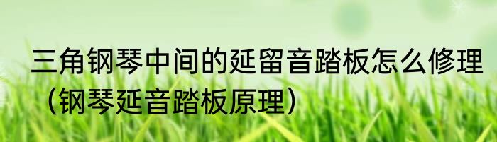 三角钢琴中间的延留音踏板怎么修理（钢琴延音踏板原理）