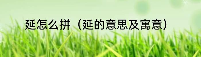 延怎么拼（延的意思及寓意）