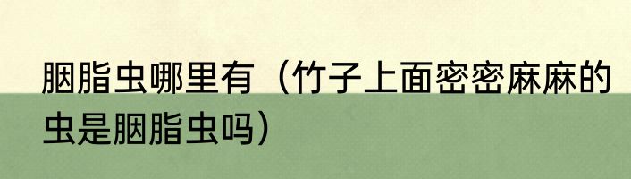 胭脂虫哪里有（竹子上面密密麻麻的虫是胭脂虫吗）