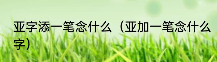 亚字添一笔念什么（亚加一笔念什么字）