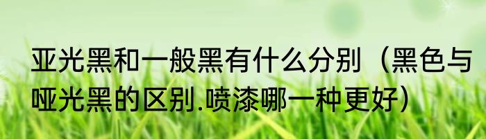亚光黑和一般黑有什么分别（黑色与哑光黑的区别.喷漆哪一种更好）