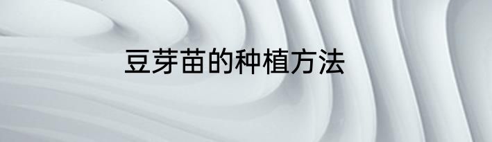 豆芽苗的种植方法