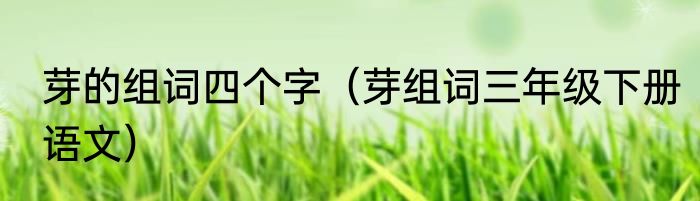 芽的组词四个字（芽组词三年级下册语文）