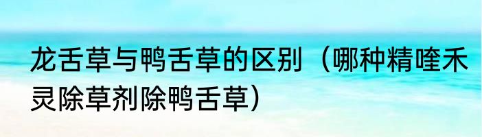 龙舌草与鸭舌草的区别（哪种精喹禾灵除草剂除鸭舌草）