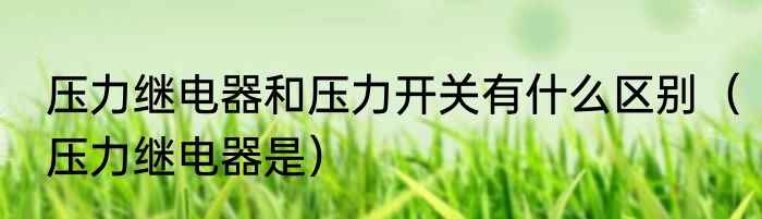 压力继电器和压力开关有什么区别（压力继电器是）