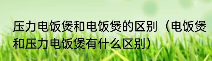 压力电饭煲和电饭煲的区别（电饭煲和压力电饭煲有什么区别）