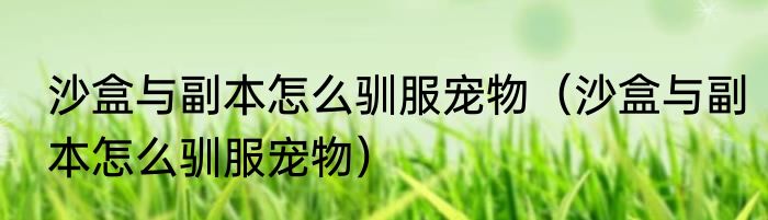 沙盒与副本怎么驯服宠物（沙盒与副本怎么驯服宠物）