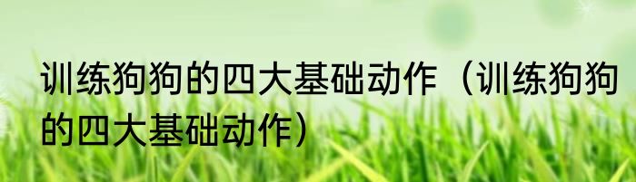 训练狗狗的四大基础动作（训练狗狗的四大基础动作）