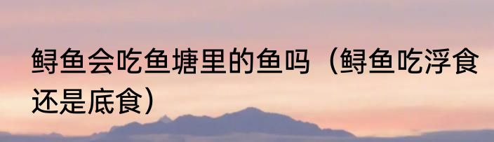 鲟鱼会吃鱼塘里的鱼吗（鲟鱼吃浮食还是底食）