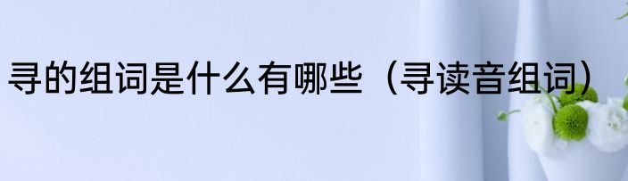 寻的组词是什么有哪些（寻读音组词）