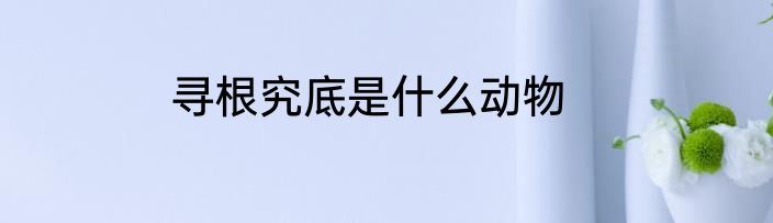寻根究底是什么动物