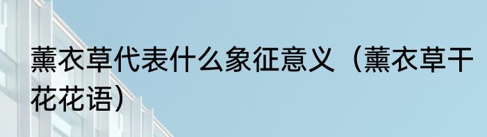 薰衣草代表什么象征意义（薰衣草干花花语）