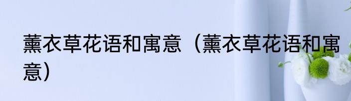 薰衣草花语和寓意（薰衣草花语和寓意）