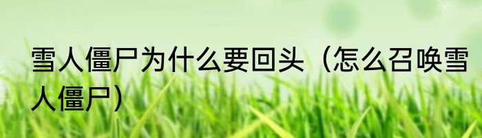 雪人僵尸为什么要回头（怎么召唤雪人僵尸）