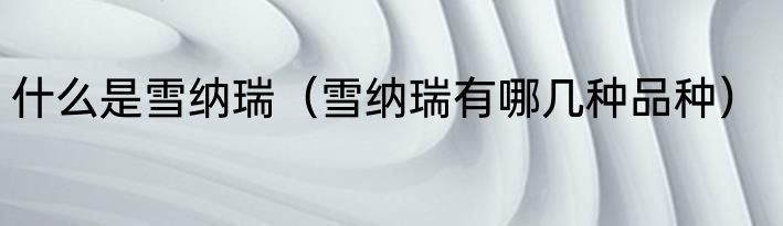 什么是雪纳瑞（雪纳瑞有哪几种品种）