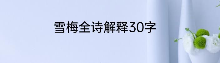 雪梅全诗解释30字