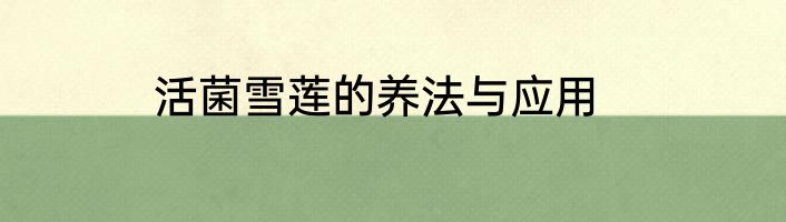 活菌雪莲的养法与应用