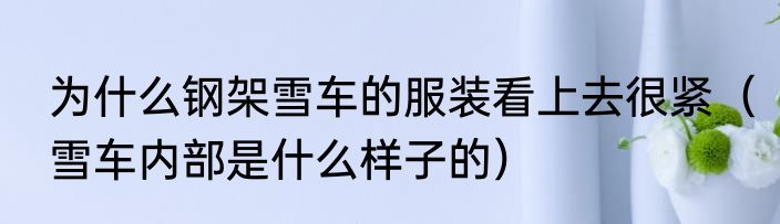 为什么钢架雪车的服装看上去很紧（雪车内部是什么样子的）