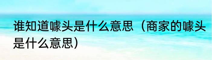 谁知道噱头是什么意思（商家的噱头是什么意思）