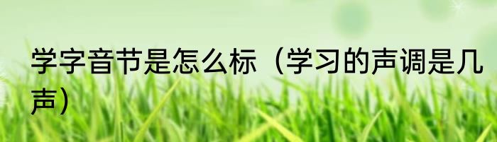 学字音节是怎么标（学习的声调是几声）
