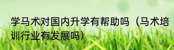 学马术对国内升学有帮助吗（马术培训行业有发展吗）