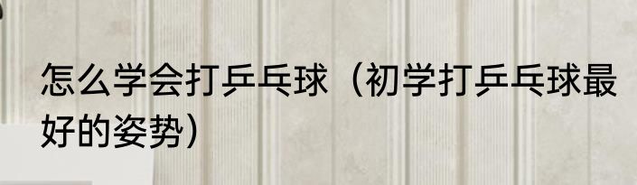怎么学会打乒乓球（初学打乒乓球最好的姿势）