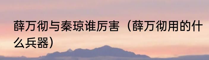 薛万彻与秦琼谁厉害（薛万彻用的什么兵器）
