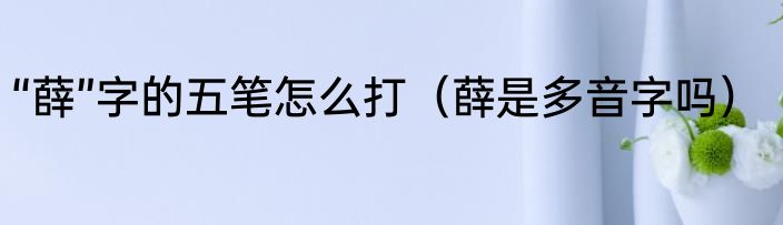 “薛”字的五笔怎么打（薛是多音字吗）