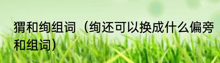 猬和绚组词（绚还可以换成什么偏旁和组词）